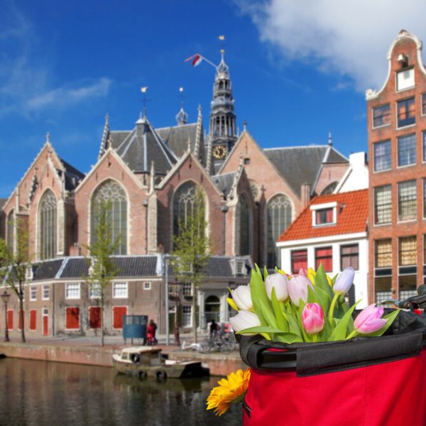 Amsterdam-tulipani